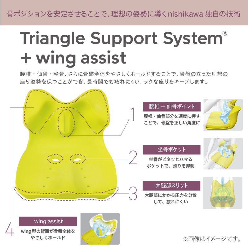 Triangle Support System®︎+ wing assist